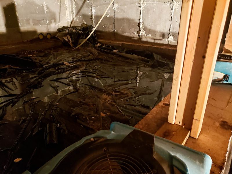 Basement Dehumidifier Service in Annapolis, MD