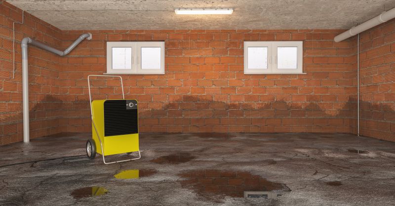 Basement Dehumidifier Service in Naples, FL