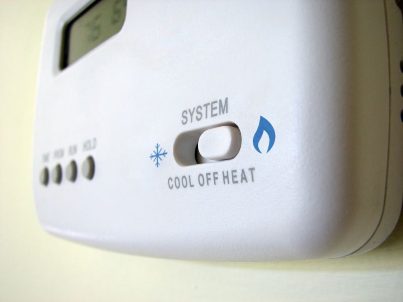 Eco-Friendly Options